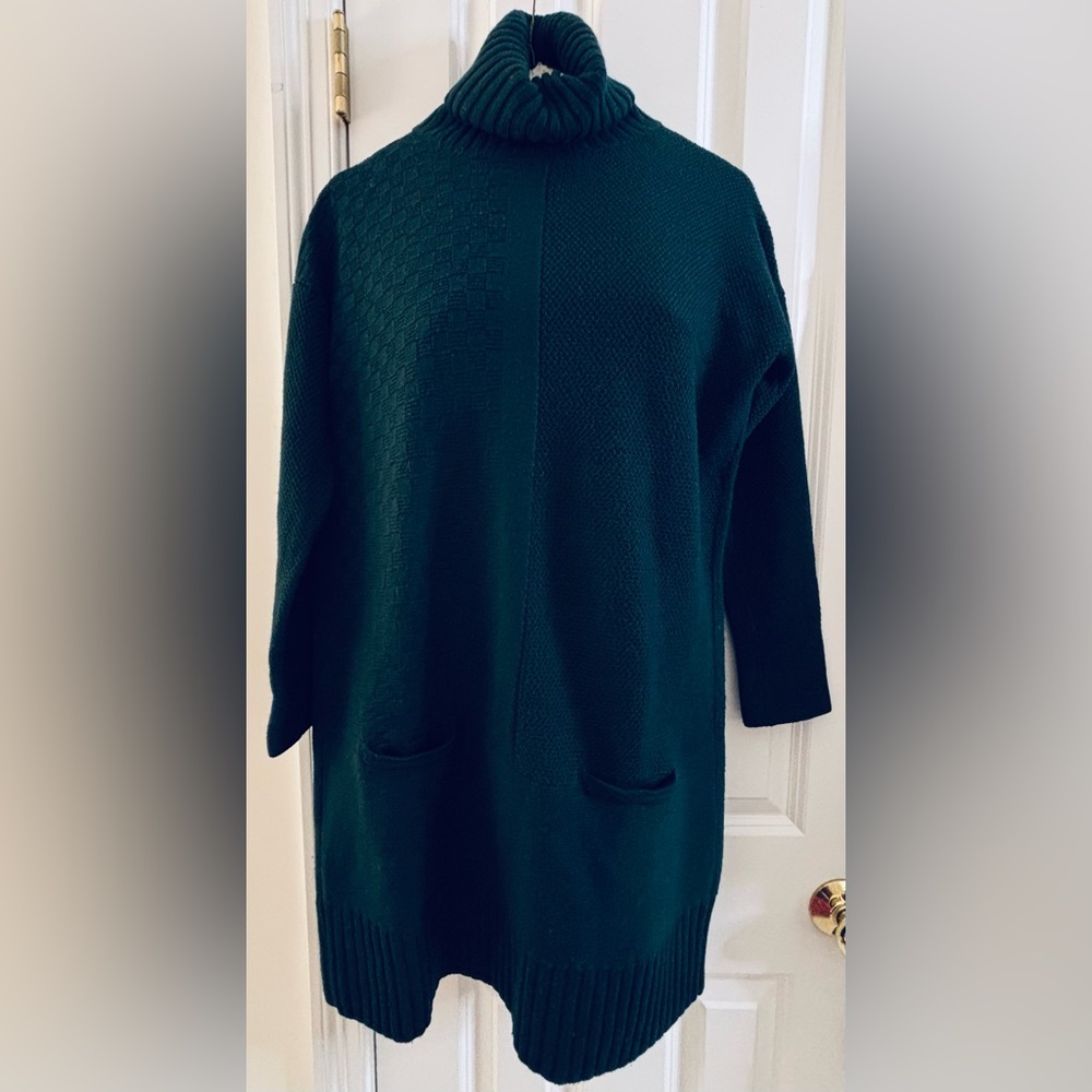 Annina Merino Wool Forest Green Turtleneck Sweater Dress - Picture 3 of 9